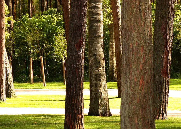 Lesny Погожелица